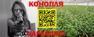 трава Пугачёв
