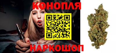 трава Пугачёв