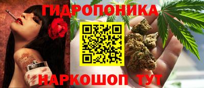 трава Пугачёв