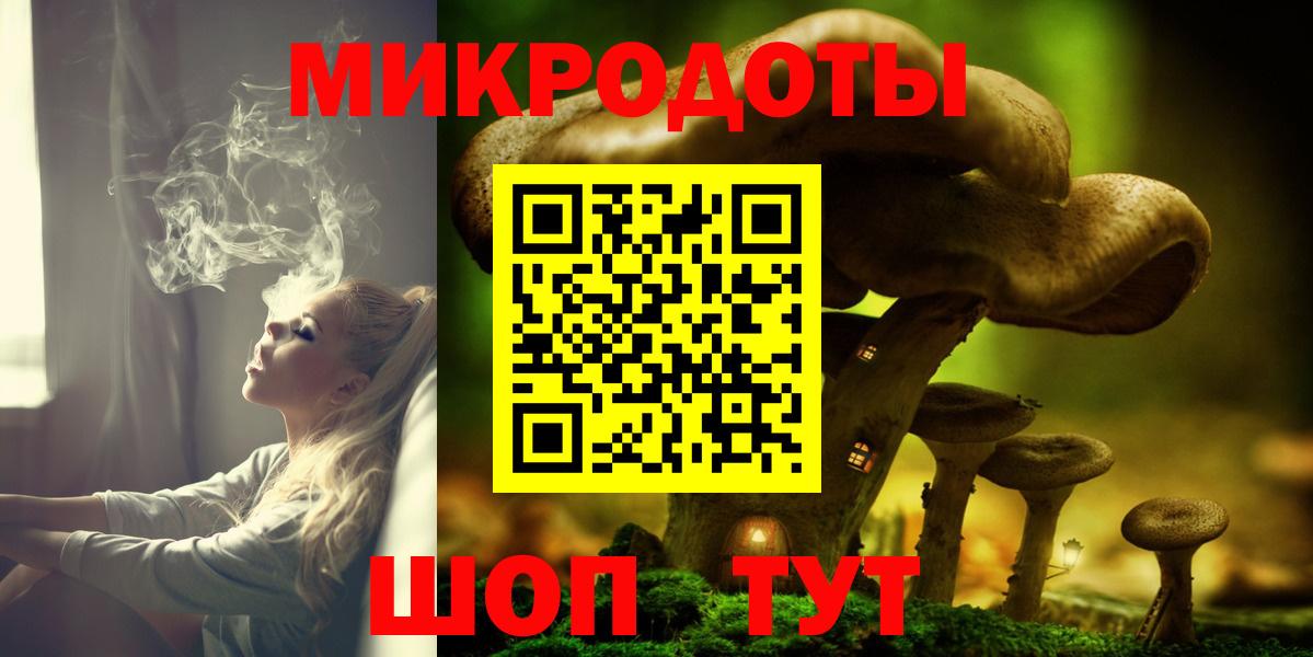 Псилоцибиновые грибы Psilocybine cubensis Северск