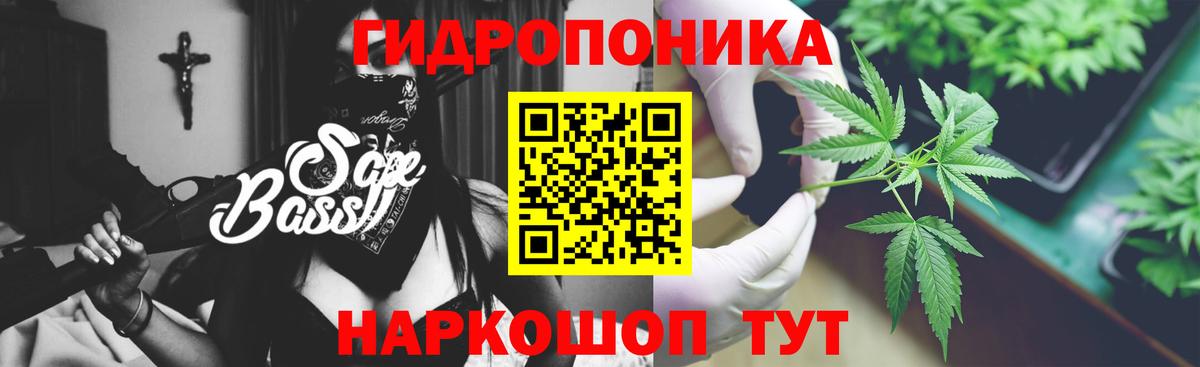 Бошки Шишки Bruce Banner Северск